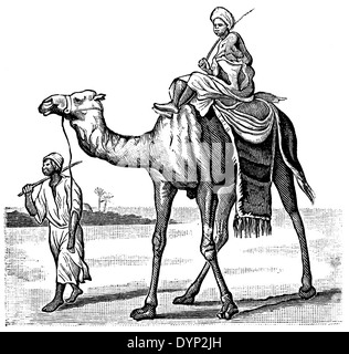 Camel riding, North Africa, illustration from Soviet encyclopedia, 1926 Stock Photo