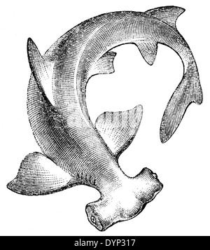 Winghead shark (Eusphyra blochii), illustration from Soviet encyclopedia, 1926 Stock Photo