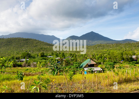 Rural Landscape in Puerto Princesa, Palawan, Philippines Stock Photo