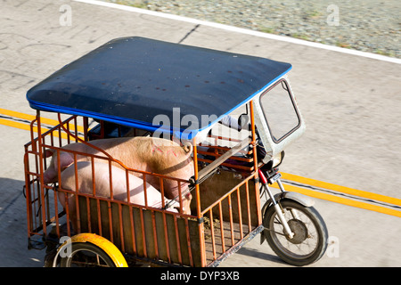 Typical Tricycle in Puerto Princesa, Palawan, Philippines Stock Photo