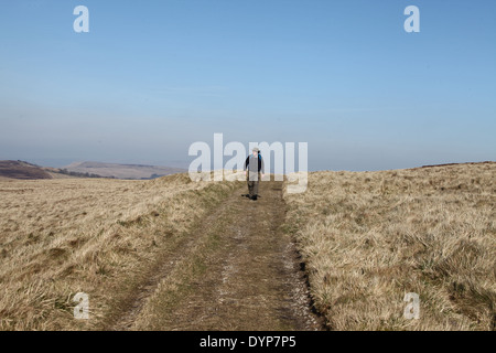 Walker on Axe Edge Moor in the Peak District National Park Stock Photo