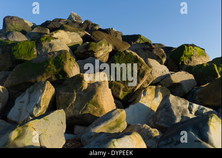 Rocks, rock groyne on beach Stock Photo