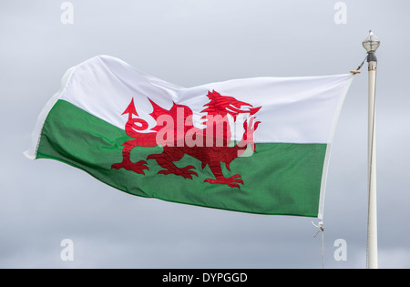The national flag of Wales, Great Britain, UK Stock Photo