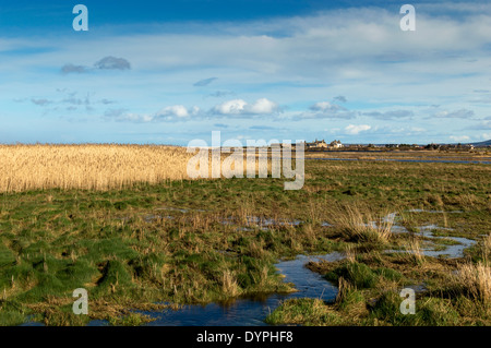 TUGNET HOUSES FROM KINGSTON LOOKING ACROSS SPEY BAY IN SPRINGTIME WITH A REED BED IN THE FOREGROUND MORAY SCOTLAND Stock Photo