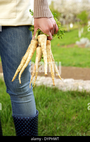 Midsection of woman holding bunch of freshly harvested vegetables in garden Stock Photo