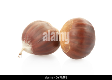 Chestnuts Stock Photo