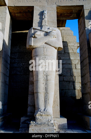 Ramesseum : the funeral temple of pharaoh Ramses II the Great(1303-1213 b.C. XIX dyn.). View of an Osiris pylon. Stock Photo