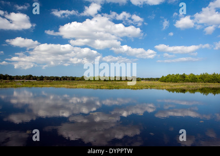 Cloud reflections at Green Cay Wetlands - Boynton Beach, Florida USA Stock Photo