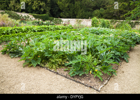 Vegetables growing in a large rectangular plot within the large walled vegetable garden of Rousham House in Oxfordshire, England Stock Photo