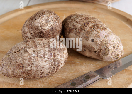 Eddoe or Eddo a tropical root vegetable latin name Colocasia antiquorum closely related to Taro Stock Photo