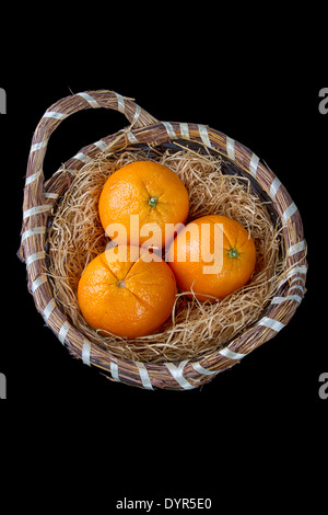Three oranges on a bed of straw in a wicker basket against a black background Stock Photo