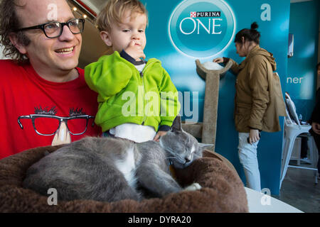 New York, USA. 24th April 2014. Purina ONE today opened the first ever Cat Cafe' in America, bringing the feline phenomenon already popular in Europe and Asia to the states. At the Cat Cafe' by Purina ONE, visitors can enjoy ' cat'achino,' while spending time and learning about cat's. Located at 168 Bowery, the Cat Cafe' is open through Sunday April 27th for people to drop by for coffee and cat-focused conversation. Credit:  Scott Houston/Alamy Live News Stock Photo