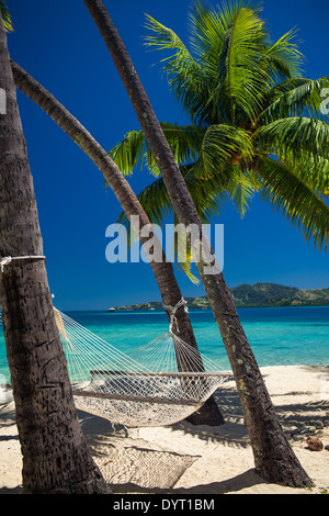 Empty hammock between palm trees on tropical beach in Fiji Stock Photo