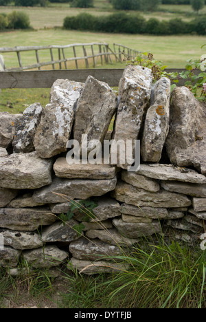 Dry stone wall near North Leigh Roman villa, the remains of a manor house, 1st to 3rd century AD, North Leigh, Oxfordshire Stock Photo