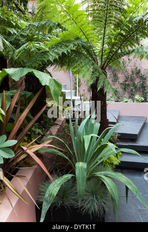 Patio garden at basement level at the Morgan house in Notting Hill London UK designed by Modular Gardens in conjunction with Stock Photo