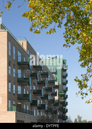 Exterior of Luma Apartments, Central Middlesex Hospital, Park Royal, London Stock Photo