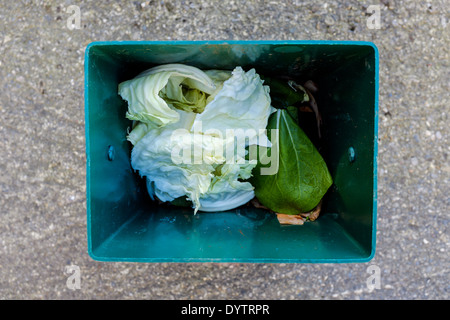 The inside of a domestic food waste bin containing vegetable and salad leaves which will be added to a compost bin Stock Photo