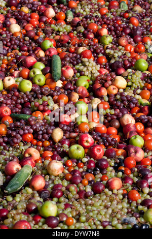 Waste mixed fruit sometimes used for animal feed. Wasting food is bad for the environment and the climate. We waste about a third of all food produced Stock Photo