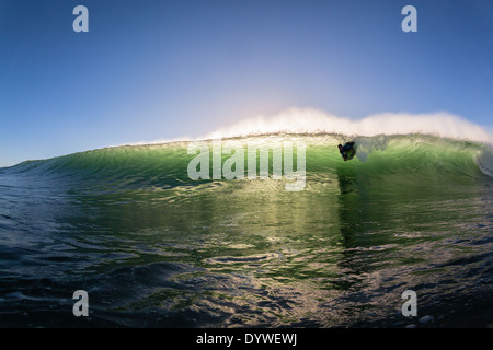 Surfing  body boarder surfer unidentified riding ocean wave closeup swimming water photo of action. Stock Photo