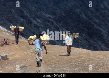 Men carrying baskets laden with blocks of sulfur, rim of Kawah Ijen, Banyuwangi Regency, East Java, Indonesia Stock Photo