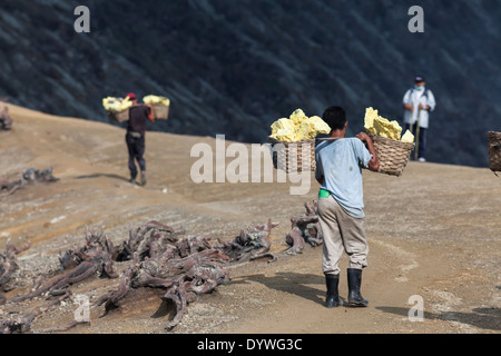 Men carrying baskets laden with blocks of sulfur, rim of Kawah Ijen, Banyuwangi Regency, East Java, Indonesia Stock Photo