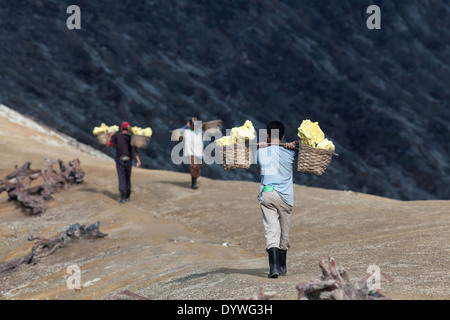 Men carrying baskets laden with blocks of sulfur, rim of Kawah Ijen, Banyuwangi Regency, East Java, Indonesia Stock Photo