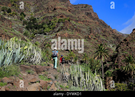 Valle Gran Rey, Spain, hike to the waterfall in El Guro Barraco Arure on La Gomera Stock Photo