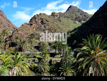 Valle Gran Rey, Spain, landscape at Valle Gran Rey on La Gomera Stock Photo