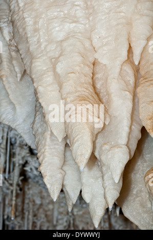 Vertical scene of white stalactites that hangs from the ceiling of cave. Basque country. Spain. Stock Photo