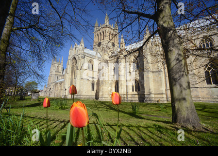 selby abbey at springtime founded in 1069 by benedict of Auxerre north yorkshire united kingdom Stock Photo