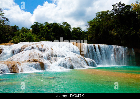 Agua Azul Waterfall, Yucatan, Mexico Stock Photo