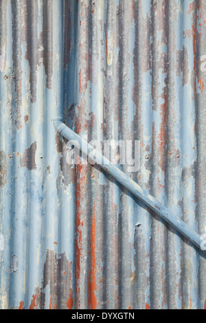 A pipe running down a painted corrugated iron sheet making an abstract image Stock Photo