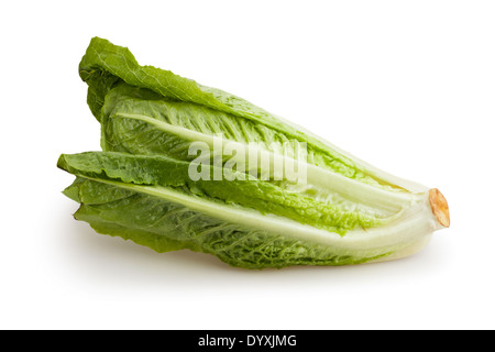 romaine lettuce isolated Stock Photo