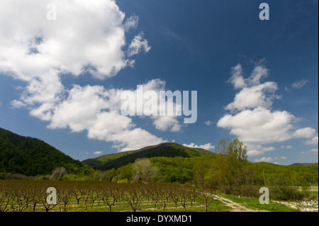 Gravel unpaved road Stock Photo