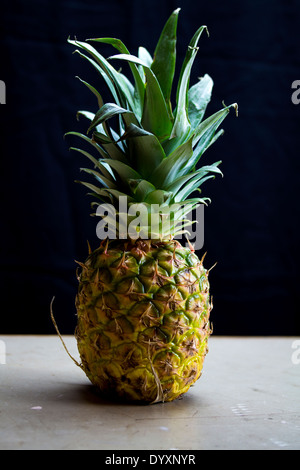 Fresh pineapple complete with leaves on a gray table with black background. Side lit. Stock Photo