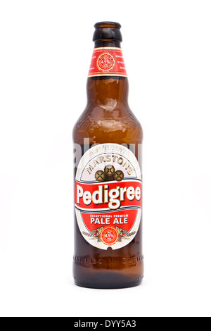 Bottle of Marston's Pedigree Pale Ale, introduced in 1952 and Marston's flagship brand, selling 150,000 hectolitres in 2010. Stock Photo