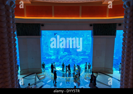 Visitors admiring exotic fish in a gigantic aquarium at the famous Atlantis, The Palm Hotel, Dubai, United Arab Emirates. Stock Photo