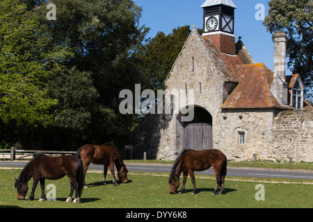 New Forest ponies grazing on Beaulieu village common. Entrance to Beaulieu house in background. Stock Photo