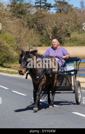 Horse and carriage in the New Forest village of Beaulieu, Hampshire. UK. Stock Photo