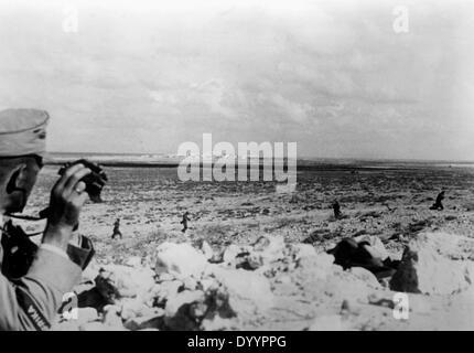 Military action on the egytian border, battle of El Alamein, 1942 Stock Photo