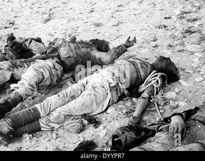Fights at the Egyptian border area near El Alamein, 1942 Killed German soldiers of the Afrika Korps at El Alamein, 1942 Stock Photo