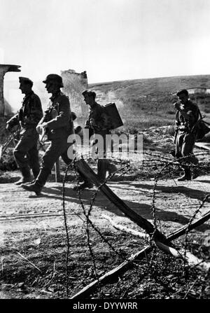 German soldiers during the Battle of Kursk, 1943 Stock Photo: 68839790 ...