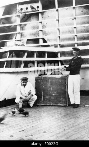 German sailors feeding pidgeons, 1916 Stock Photo