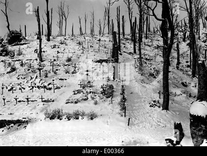 Cemetery of German soldiers in the Vosges mountains from the First World War Stock Photo