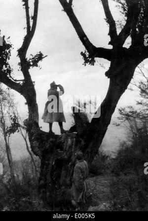 Observation post in Serbia, 1915 Stock Photo