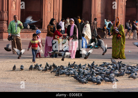 New Delhi, India. Muslims Feeding Pigeons while Waiting for Afternoon Prayers in Courtyard of the Jama Masjid (Friday Mosque). Stock Photo