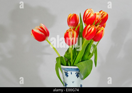Red and yellow Dutch tulips in a blue and white Dutch Delft China vase Stock Photo
