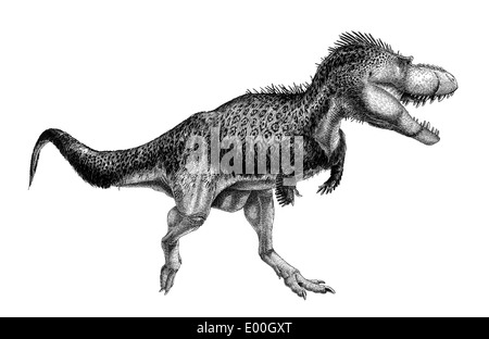 Black ink drawing of Albertosaurus sarcophagus. Stock Photo