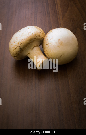 Two button mushrooms/champignons on a brown background. Stock Photo
