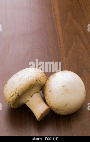 Two button mushrooms/champignons on a brown background. Stock Photo